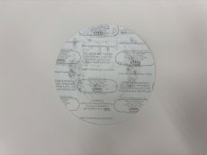 画像3: PHISH 2003年 Hampton Concert  (3)