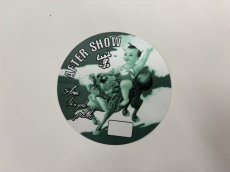 画像5: STONE TEMPLE PILOTS 1994年 Purple Tour (5)