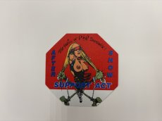 画像5: GUNS N' ROSES 1993年 The Perils of R&R Tour (5)