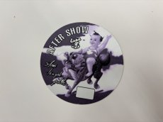 画像4: STONE TEMPLE PILOTS 1994年 Purple Tour (4)