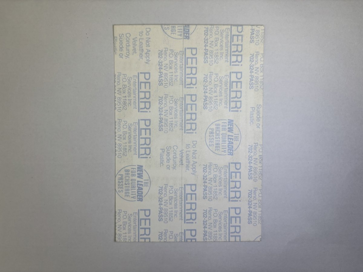 画像4: SONIC YOUTH 1995-1996年 Washing machine Tour (4)