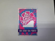 画像8: RED HOT CHILI PEPPERS 1999年 CALIFORNICATION Tour  (8)