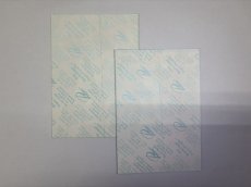 画像4: RED HOT CHILI PEPPERS 1999年 CALIFORNICATION Tour RARE!SID PICTURE! (4)