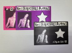 画像2: RED HOT CHILI PEPPERS 1999年 CALIFORNICATION Tour RARE!SID PICTURE! (2)
