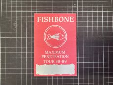 画像7: FISHBONE 1988-1989年 MAXIMUM PENETRATION Tour (7)
