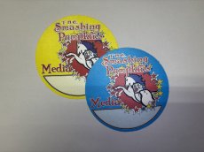 画像2: SMASHING PUMPKINS 2010年 Teargarden Tour (2)