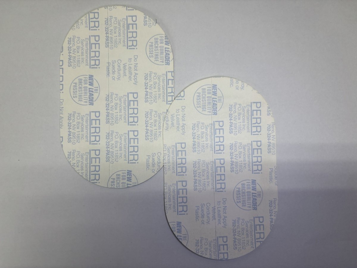 画像4: SONIC YOUTH 1995-1996年 Washing machine Tour (4)