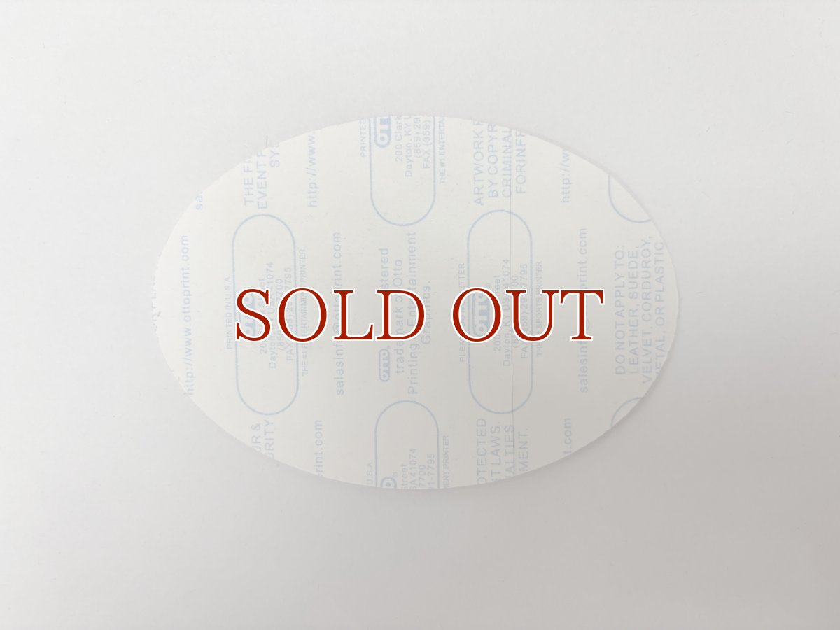 画像4: GREEN DAY 2005年 American Idiot Tour (4)