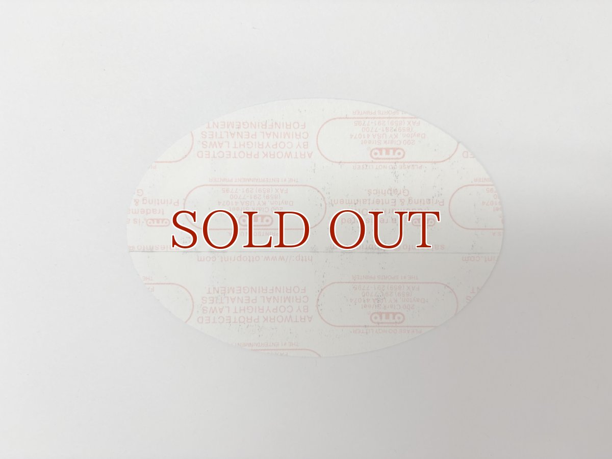 画像4: GREEN DAY 2005年 American Idiot Tour (4)