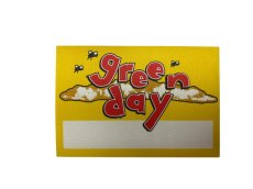 画像1: GREEN DAY 1994年 Dookie Tour  (1)