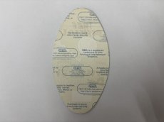 画像4: GREEN DAY 1997-1998年 NIMROD World Tour  (4)