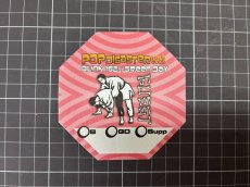 画像5: GREEN DAY 2002年 Pop Disaster Tour featuring Blink-182 (5)