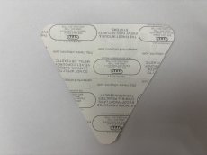 画像4: GREEN DAY 2005年 American Idiot Tour  (4)