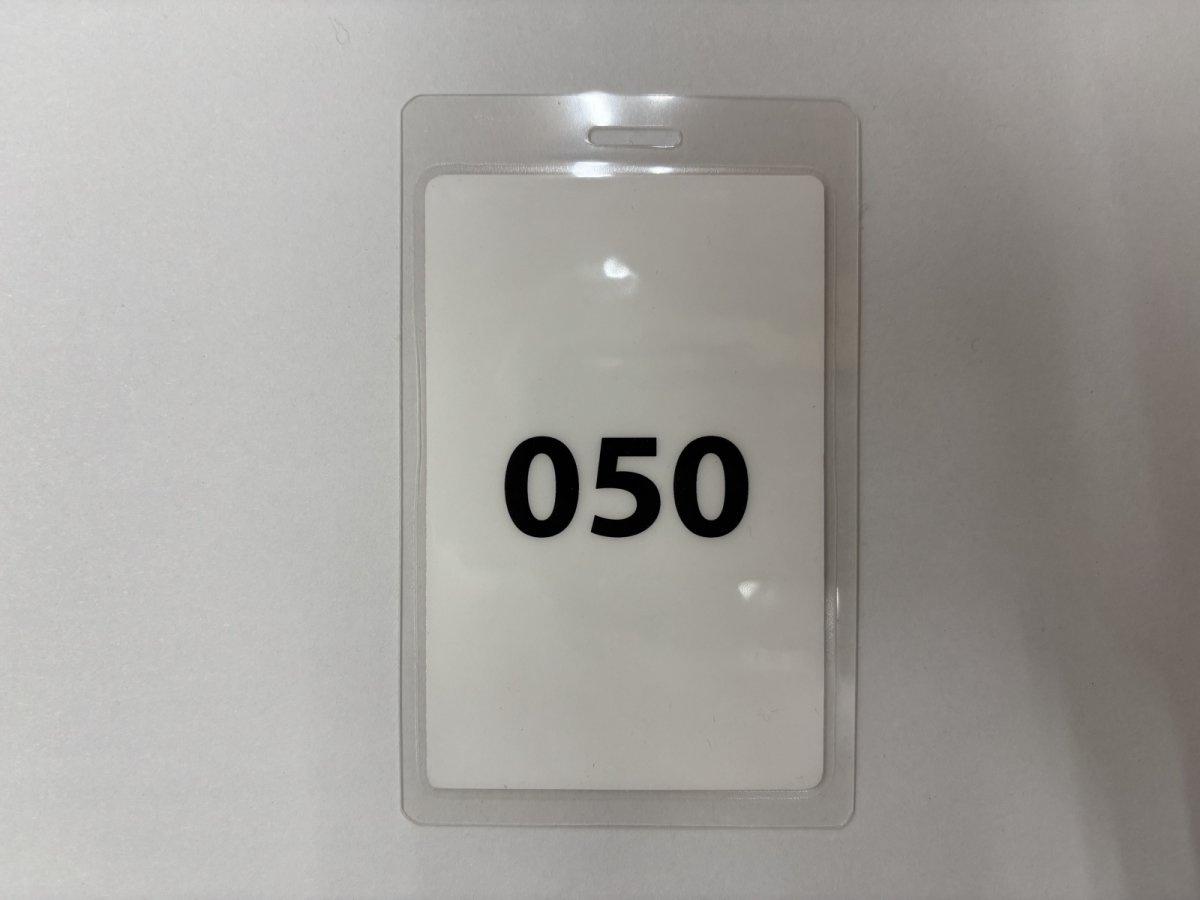 画像4: GREEN DAY 2005年 AMERICAN IDEOT Tour ALL ACCESS (4)