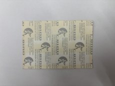 画像4: GREEN DAY 1994年 Dookie Tour  (4)