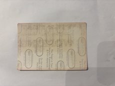 画像4: LITTLE FEAT 1990年 Representing the mambo Tour (4)