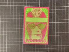 画像5: STEVE MILLER BAND 1995年 1995 Tour (5)