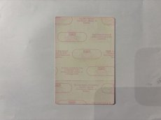 画像4: STEVE MILLER BAND 1995年 1995 Tour (4)