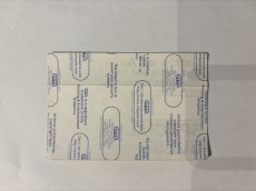 画像4: LORDS OF ACID 2000年 The Swing Set Tour (4)