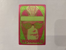 画像2: STEVE MILLER BAND 1995年 1995 Tour (2)