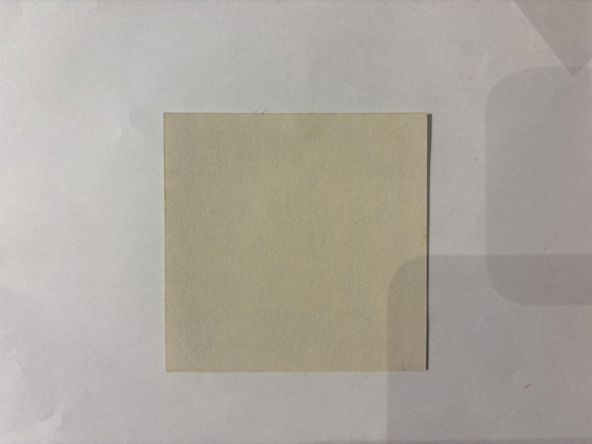 画像4: KANSAS 1980年 Audio Vision Tour (4)