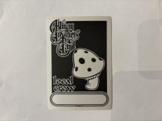 画像5: ALLMAN BROTHERS BAND 1998年 98Tour  (5)