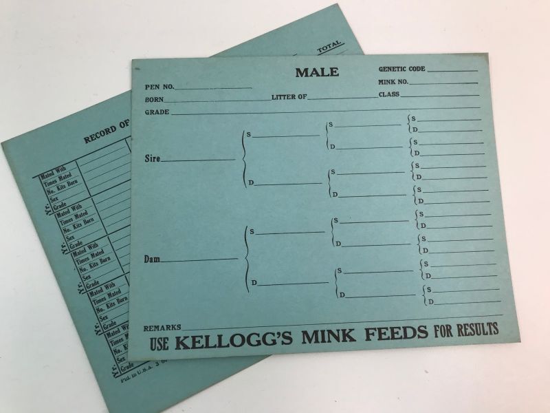 画像1: KELLOGG'S血統カード   (1)