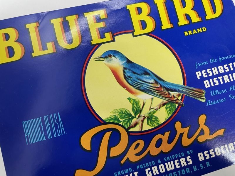 画像1: BLUE BIRD Pears 木箱ラベル (1)