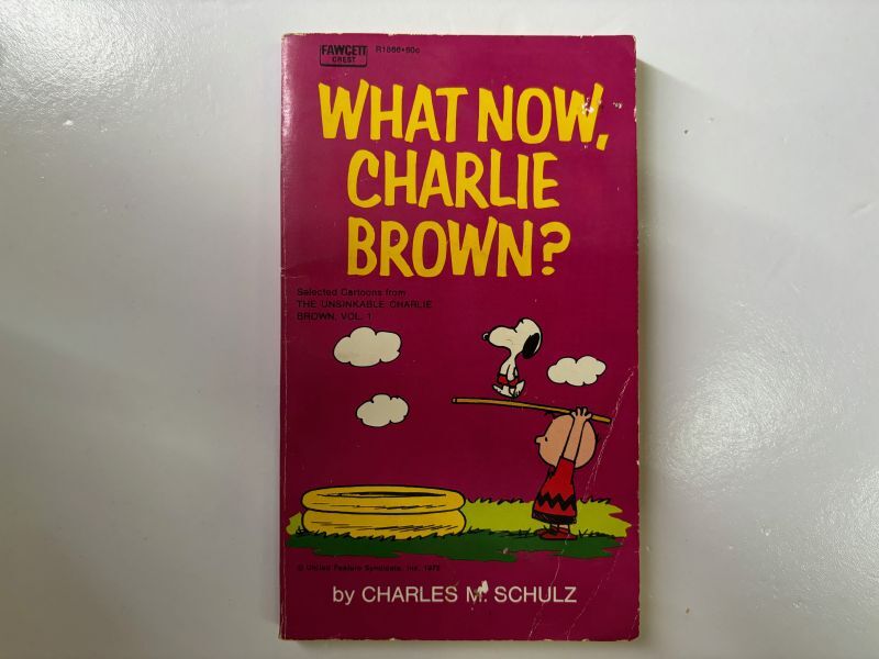 1972年 WHAT NOW, CHARLIE BROWN?  PEANUTS スヌーピー　ビンテージコミック 