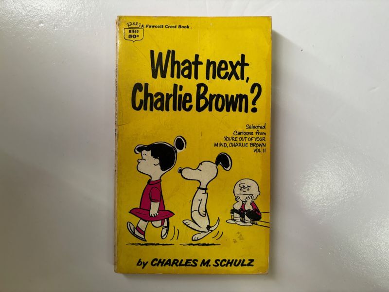 1968年 WHAT NEXT, CHARLIE BROWN?  PEANUTS スヌーピー　ビンテージコミック 
